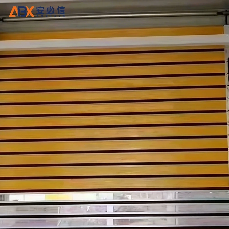 毕节市消防高速门
